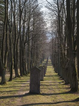 Stations of the Cross in avenue of beech tree near village Cvikov. Calvary with small chapels build in 1728 by Johann Franz Richter. Pilgrimage place Luzicke hory, Lusatian Mountains, spring, blue sky.