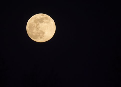 Close up of full moon seen with the telescope from northern hemisphere. Yellow brown tone. Black night sky background..