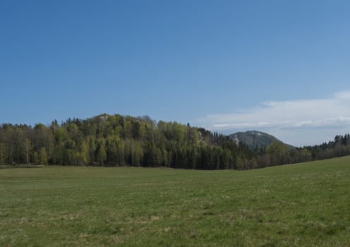 idyllic spring landscape in Lusatian mountains, with lush green grass meadow, fresh deciduous and spruce tree forest, hills, blue sky white clouds background, horizontal, copy space.
