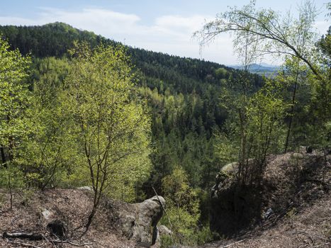 Spring landscape in Lusatian Mountains view from sandstone rocks, green hills, fresh deciduous and spruce tree forest. Blue sky background, horizontal, copy space.