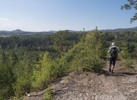 Back of man hiker walking in landscape in Lusatian Mountains view from sandstone rocks, green hills, fresh deciduous and spruce tree forest. Blue sky background, horizontal, copy space.