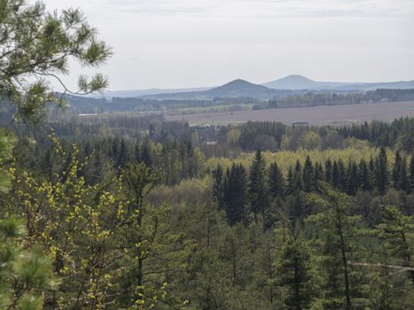 Spring landscape in Lusatian Mountains view from sandstone rocks, green hills, fresh deciduous and spruce tree forest. Blue sky background, horizontal, copy space.