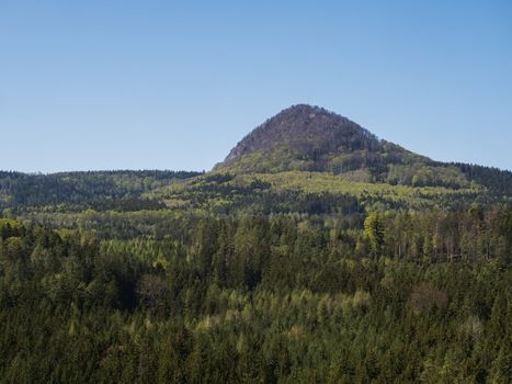 Spring landscape in Lusatian Mountains with view point hill Klic or Kleis, fresh deciduous and spruce tree forest. Blue sky background, horizontal, copy space.