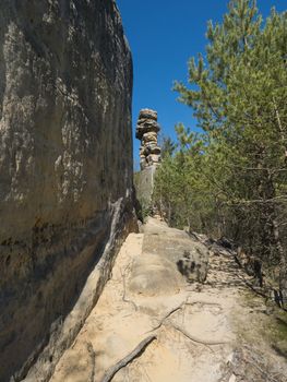 Sandstone rock pillar in spring landscape r Lusatian Mountains with fresh deciduous and spruce tree forest. Blue sky background, copy space.