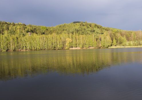 view on calm water of forest lake, fish pond Kunraticky rybnik with birch and spruce trees growing along the shore and clear blue sky in golden sun light. Nature background. Spring landscape.
