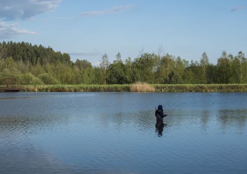 Fly Fisherman angler standing in calm water of forest lake, fish pond Kunraticky rybnik with birch and spruce trees growing along the shore and clear blue sky. Nature fishing background. Springtime.