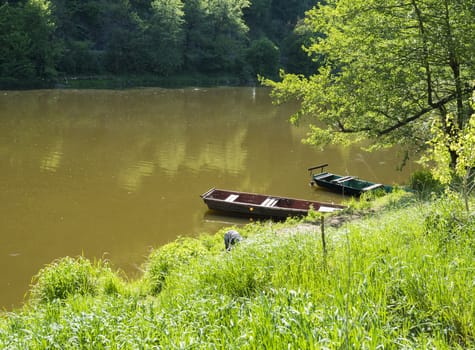 two old wooden rowing boat with lush spring grass on the river Berounka bank in spring with trees, countryside in golden afternoon light.