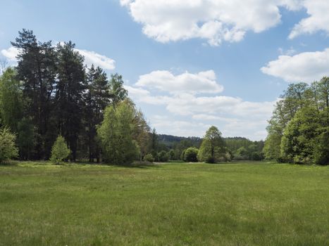 idyllic spring landscape with lush green grass, fresh deciduous, spruce and pine tree forest, blue sky white clouds background, horozontal, copy space.