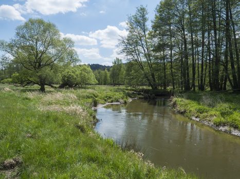 idyllic landscape of winding river stream meander at lush green meadow with deciduous tree forest, blue sky backgound. Late spring sunny afternoon, vibrant colors.