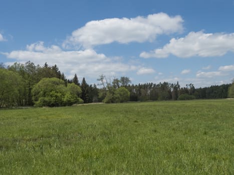 idyllic spring landscape with lush green grass, fresh deciduous, spruce and pine tree forest, blue sky white clouds background, horozontal, copy space.