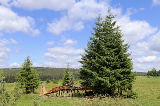 Landscape view in the Sumava National Park - Bohemian Forest