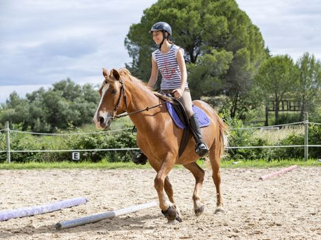  riding girl are training her horse in equestrian center