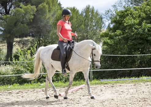  riding girl are training her horse in equestrian center