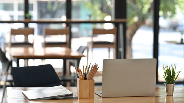 Cropped shot from behind of white laptop, pencil holder, document files, potted plant on a working desk.