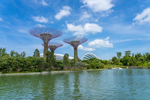 The super trees at the gardens by the bay in SIngapore