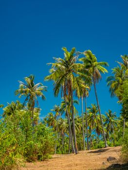 Rawai beach in Phuket island Thialand