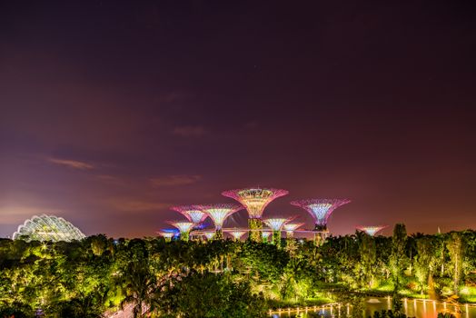 SINGAPORE CITY, SINGAPORE - FEBRUARY 03, 2019: Gardens by the bay in Singapore, Unique vertical gardens resembling towering trees, with large canopies & colorful lights at night