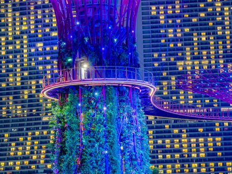 SINGAPORE CITY, SINGAPORE - FEBRUARY 03, 2019: Gardens by the bay in Singapore, Unique vertical gardens resembling towering trees, with large canopies & colorful lights at night