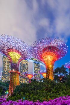 SINGAPORE CITY, SINGAPORE - FEBRUARY 03, 2019: Gardens by the bay in Singapore, Unique vertical gardens resembling towering trees, with large canopies & colorful lights at night