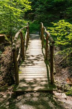 Nice idyllic old bridge in a fairytale forest