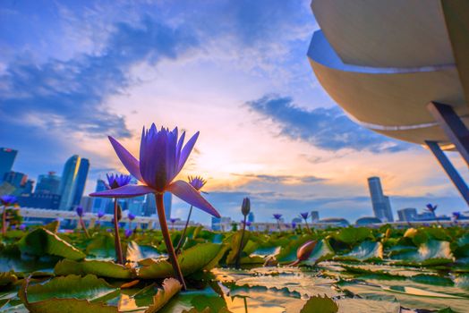 Singapore - APRIL 20 2018: Scenic view of the Helix Bridge. The Marina Bay Sands Hotel with the SkyPark on the top of towers is visible on blue sky background. Wonderful cityscape.