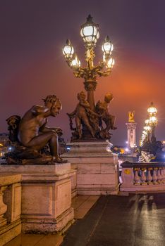 Bridge Alexandre III in Paris France