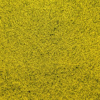 Abstract Background from an aerial photo of a yellow blooming canola field at a height of 100 meters, made with drone