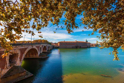 Superb panorama in autumn of the Garonne with the Pont Neuf and the Hôtel Dieu in Toulouse in Haute-Garonne in Occitanie region, France