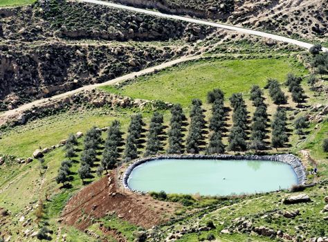 Storage basin for the irrigation of an olive grove in the desert near Karak, Jordan, middle east
