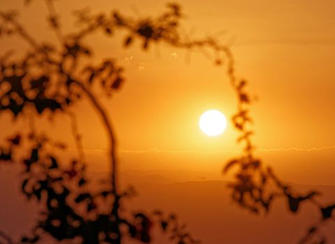 Sunset at the Dead Sea, with a view of the coast of Israel and a branch with leaves in the foreground on the beach of Amman, Jordan, middle east