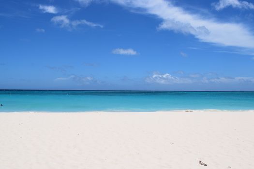 Panoramic view of the beach of Aruba, famous for palm trees and turquoise water