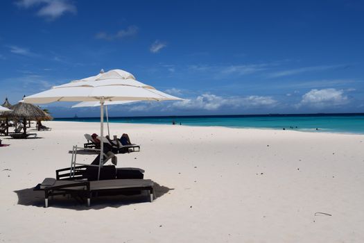 Panoramic view of the beach of Aruba, famous for palm trees and turquoise water