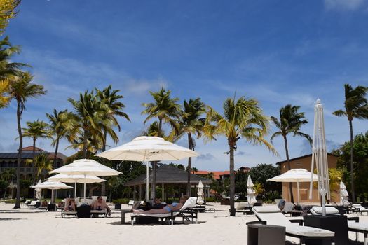 Panoramic view of the beach of Aruba, famous for palm trees and turquoise water