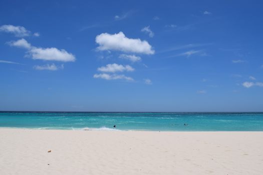 Panoramic view of the beach of Aruba, famous for palm trees and turquoise water