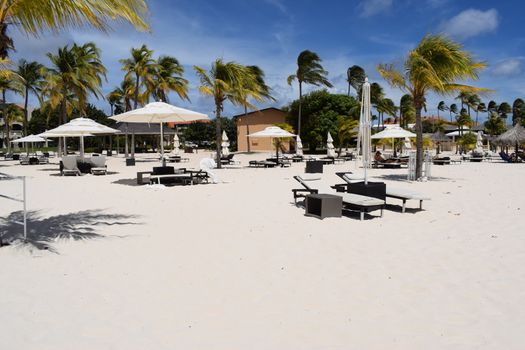 Panoramic view of the beach of Aruba, famous for palm trees and turquoise water