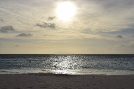 Beautiful golden sunset on the white beach of Aruba with turquoise water