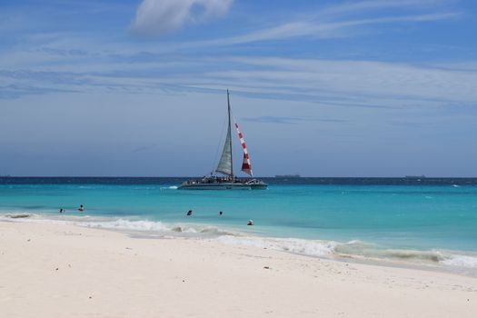 Panoramic view of the beach of Aruba, famous for palm trees and turquoise water