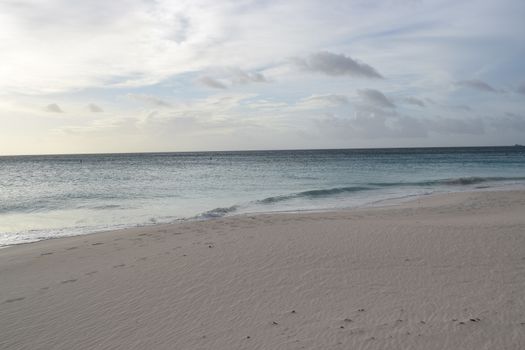 Panoramic view of the beach of Aruba, famous for palm trees and turquoise water