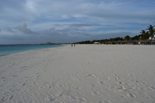 Panoramic view of the beach of Aruba, famous for palm trees and turquoise water