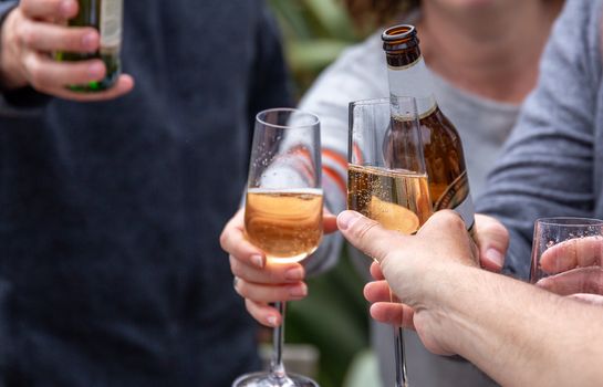 Friends toasting with drinks