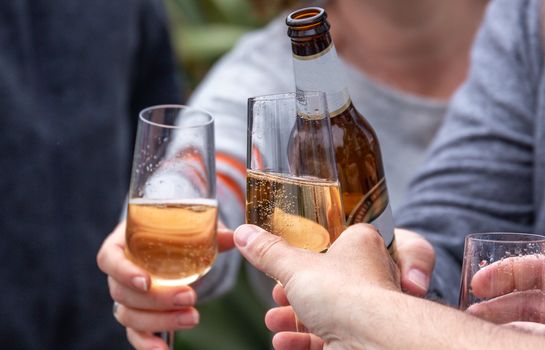 Friends toasting with drinks