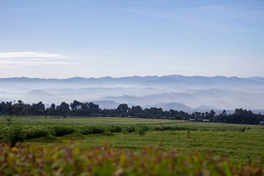 Beautiful landscape of Volcanoes National Park, Rwanda