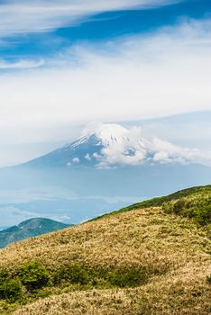 View of Mount Fuji in spring in Japan