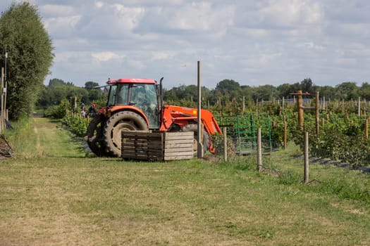 A stationary tractor in a field