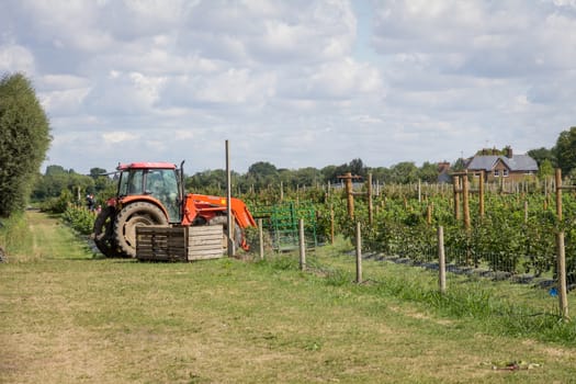 A stationary tractor in a field