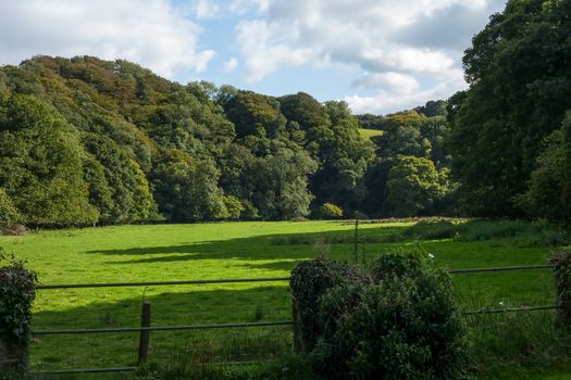 A metal gate leading to a field in the Cornish countryside, England