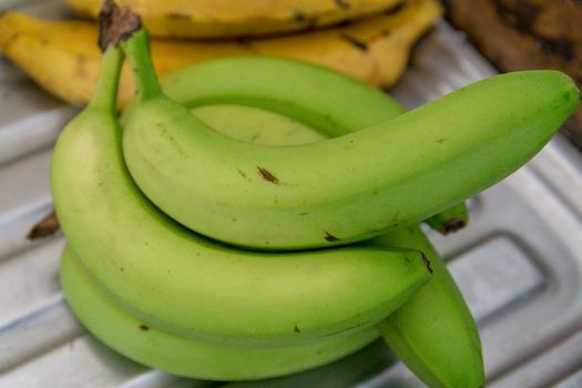 Green bananas on a metallic background with plantain in the background