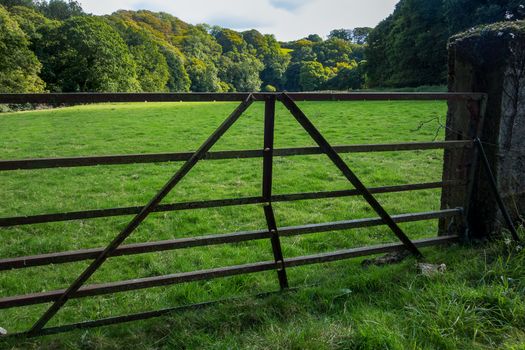 A metal gate leading to a field in the Cornish countryside, England