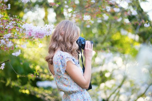 Beautiful young woman in blooming cherry garden