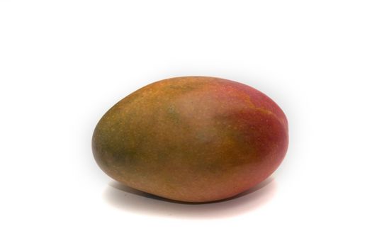 A single ripe mango (Mangifera indica) isolated on a white background